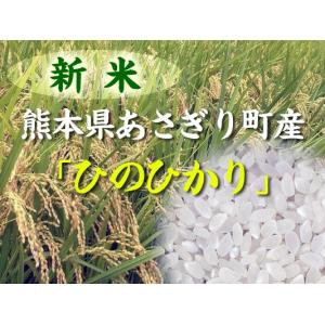 新米 予約 10/10頃初出荷 ひのひかり 白米 10kg 令和7年産 熊本県 あさぎり町産  安い セール