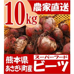 有機 ビーツ 10kg 熊本県産 野菜 栄養 予約販売の商品画像