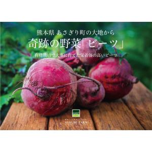 有機 ビーツ 10kg 熊本県産 野菜 栄養 ...の詳細画像5