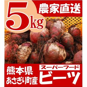 有機 ビーツ ５ｋg 熊本県産 野菜 栄養 予約販売｜asagiri-nouen