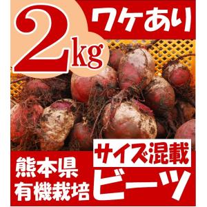 有機 ビーツ 2kg 熊本県産 野菜 栄養 予約販売 : あさぎり農園 - 通販