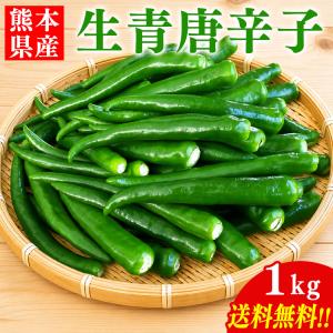 国産 青唐辛子 1kg 送料無料 熊本県産 辛口 生青唐辛子 唐辛子 トウガラシ とうがらし【へた無し】【品種：大紅とうがらし】