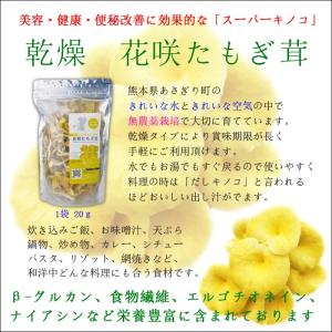 たもぎ茸石突乾燥粉末 150g エルゴチオネイン含有 タモギダケ