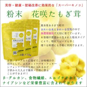 【送料無料】粉末　花咲たもぎ茸70g×3袋【熊本県あさぎり町産】【国産】【無農薬栽培】｜asagiribussankan