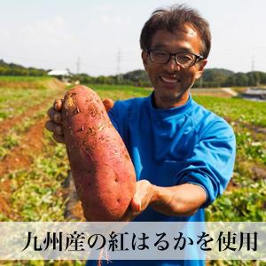 干し芋 皮付き 2袋 無添加 無着色 長崎県産...の詳細画像4