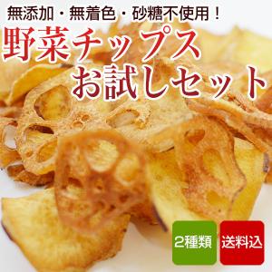 野菜チップス 2種入 お試しセット 無添加 砂糖不使用 メール便