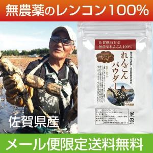 れんこんパウダー 無農薬 100g 蓮根粉 花粉 佐賀県産 メール便