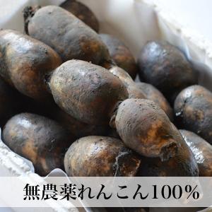 れんこんパウダー 無農薬 100g 蓮根粉 花...の詳細画像1