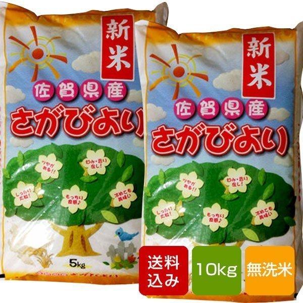 さがびより 無洗米 10kg コメ 米 一等米 佐賀県産 令和5年産