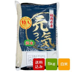 夢つくし 白米 10kg 福岡県産 令和7年産 コメ 米 こめ : 朝ごはん本舗