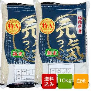 夢つくし 無洗米 20kg 福岡県産 令和7年産 コメ 米 こめ : 朝ごはん