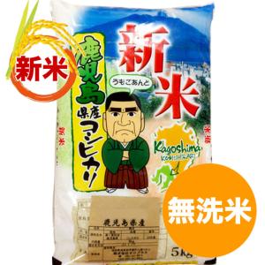 鹿児島コシヒカリ 白米 10kg こしひかり 一等米 ...