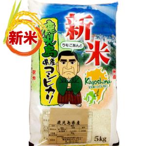 鹿児島コシヒカリ 無洗米 10kg こしひかり 一等米 コ...