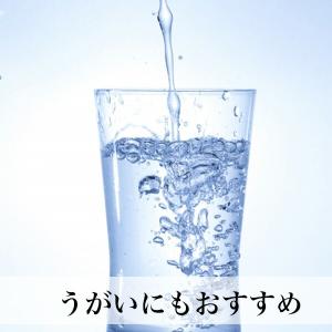 梅酢 700ml(350g×2本) 無添加 無...の詳細画像4