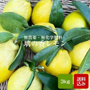 国産 グリーンレモン 2.5kg サイズ混合 栽培期間中農薬不使用 無化学肥料  ノーワックス 檸檬  福岡県産