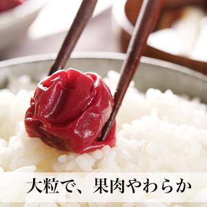 梅干し 無添加 500g お試し 梅干し しそ...の詳細画像2