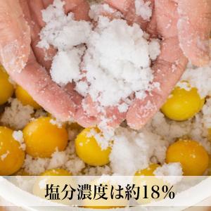 梅干し 無添加 500g お試し 梅干し しそ...の詳細画像3