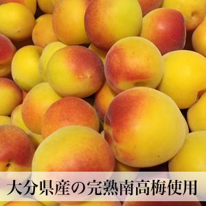 梅干し 無添加 500g お試し 梅干し しそ...の詳細画像4