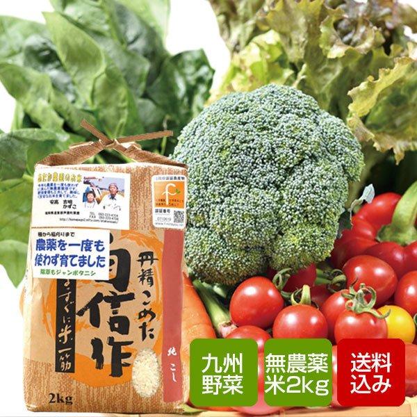 野菜と無農薬コシヒカリ2kgセット 野菜詰め合わせ 九州野菜 お取り寄せ グルメ クール便