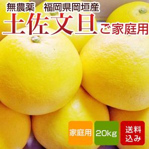パール柑 熊本産 訳あり 20kg ［10kg×2箱］ 送料無料 九州 熊本