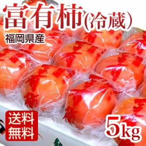柿 冷蔵富有柿 5kg Lサイズ 21玉 冷蔵柿 秀品 贈答用 ふゆう柿 福岡産 誕生日祝い お中元 お盆のお供え ギフト