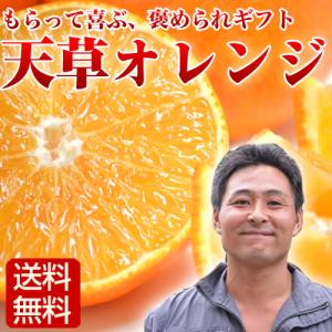 天草オレンジ 10kg 40玉前後 国産オレンジ サイズ混合 おひさまきらりん 大分産｜asagohanhonpo