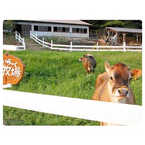 あさごパン(粒あん)1.5斤 生あん食パン ジ...の詳細画像4