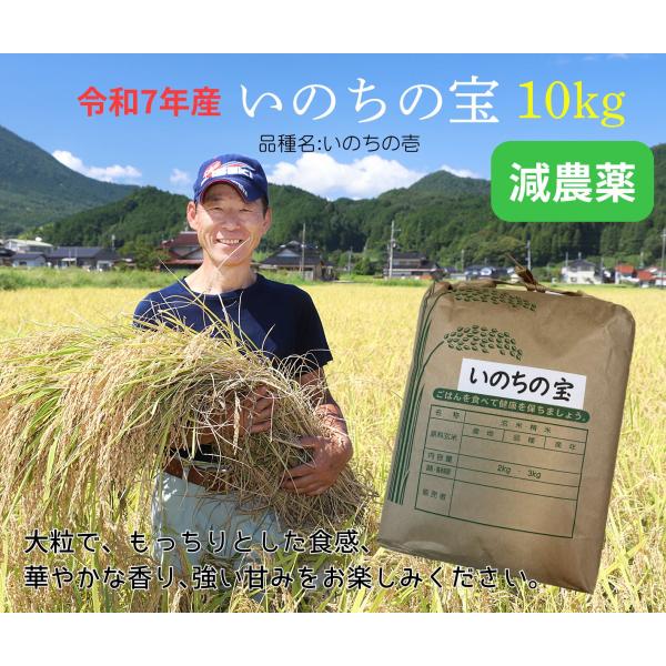 令和7年産新米 10kg いのちの宝 (品種:いのちの壱)白米 減農薬 低温循環式精米 ふっくらモチ...