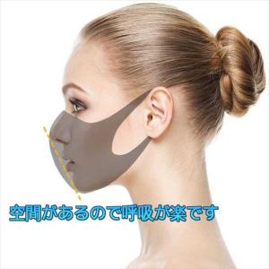 ファッションマスク 夏用マスク 3枚セット 洗...の詳細画像3