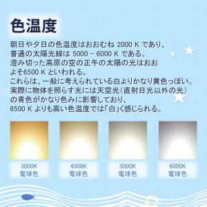 【GX24Q口金】FHT32EX形 ledコン...の詳細画像5