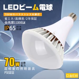 PAR56 LED 電球 60W 高天井用LED E39 IP66 防水 屋内 屋外投光器 倉庫