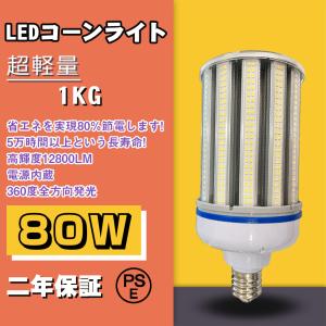 岩崎電気 岩崎 LDR30N-H-E39/W850 LED電球 セルフバラスト水銀灯300W