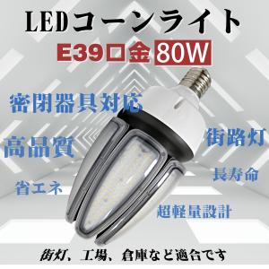 岩崎電気 アイ 水銀ランプ用安定器 80W用 一般形高力率 周波数:50Hz H0
