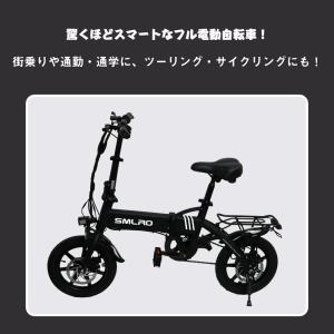 一般原動機付自転車 14インチ パワフル250...の詳細画像2