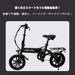 一般原動機付自転車 14インチ パワフル250...の詳細画像2