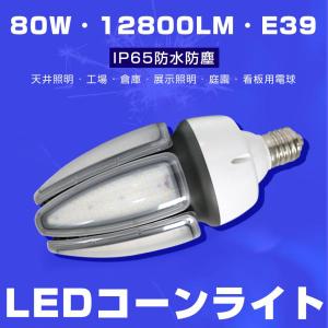 東芝ライテック (送料無料)東芝ライテック LDTS57N-G-E39 街路灯