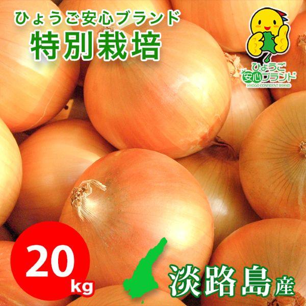 玉ねぎ 野菜 淡路島産 たまねぎ サイズ混合 20kg 特別栽培 有機肥料使用 産地直送 お取り寄せ...