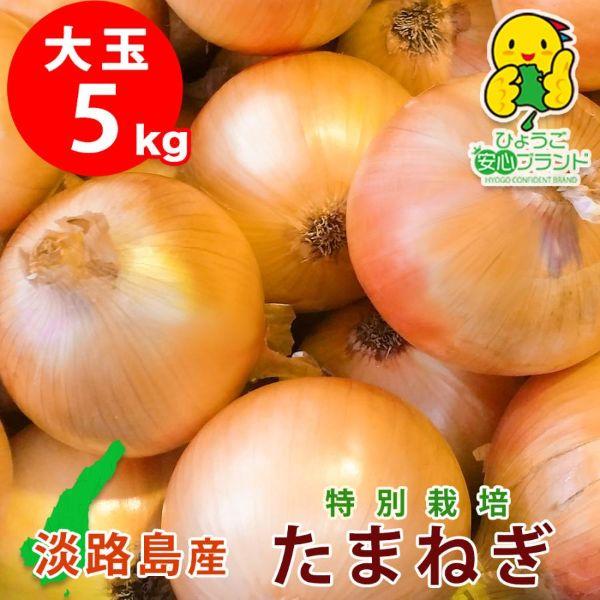 玉ねぎ 野菜 淡路島産 たまねぎ 大玉 5kg 特別栽培 2L LL 減農薬 有機肥料使用 産地直送...