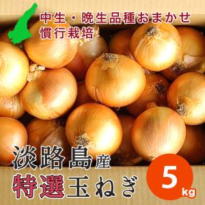 5キロ 玉ねぎ 淡路島産 慣行栽培 サイズ混合 たまねぎ 5kg 特別栽培 セレクト 減農薬 有機肥料使用 産地直送 淡路島 中生品種〜晩生品種 おまかせ 厳選食材｜asahi-onion-awaji