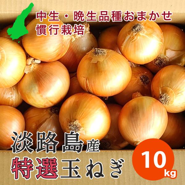10キロ 慣行栽培 セレクト 淡路島産 たまねぎ 中生品種〜晩生品種 おまかせ 厳選