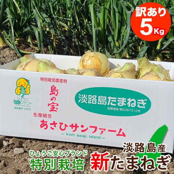 新たまねぎ 訳あり 淡路島産 サイズ混合 新玉ねぎ 特別栽培 たまねぎ 5kg 減農薬 有機肥料私用...