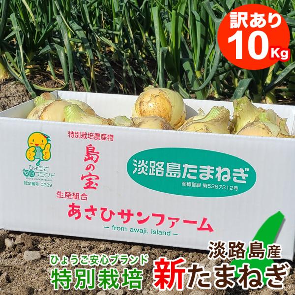 新たまねぎ 訳あり 淡路島産 サイズ混合 新玉ねぎ 特別栽培 たまねぎ 10kg 減農薬 有機肥料私...