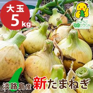 七宝早生 新たまねぎ 玉ねぎ 淡路島産 大玉 5kg たまねぎ 特別栽培 淡路島 減農薬 有機肥料使用 5キロ あさひ ひょうご安心ブランド おうちごはん 数量限定｜asahi-onion-awaji