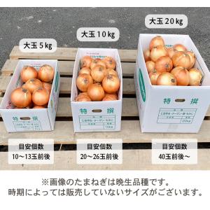 あさひサンファーム 島の宝 新たまねぎ 大玉1...の詳細画像2