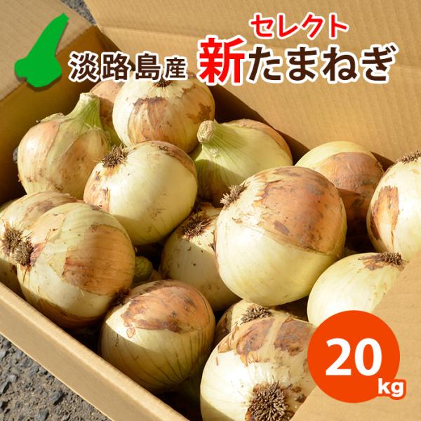 新たまねぎ 玉ねぎ 淡路島産 サイズ混合 20kg 慣行栽培 セレクト たまねぎ 特別栽培 淡路島 ...