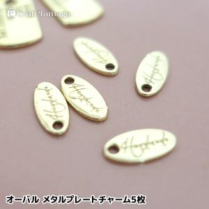 チャームパーツ プレゼントボックス ガラス ワイヤーチャーム 2個 資材