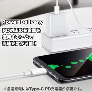 205_2pcs 【即日発送】2本 iPhon...の詳細画像3
