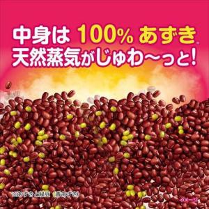 【首肩用+腰用のセット】小林製薬 あずきのチカ...の詳細画像1