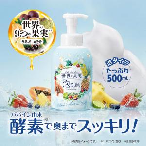 【定価1848円×4個セット】世界の果実 すっ...の詳細画像1