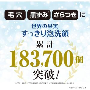 【定価1848円×4個セット】世界の果実 すっ...の詳細画像2